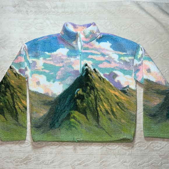 Urban Outfitters Tops - Urban Outfitters Mountain Half-Zip Fleece Jacket
